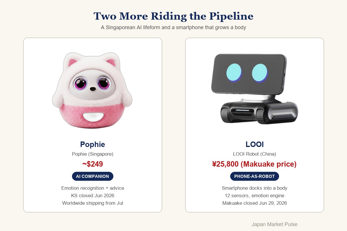 Product showcase of Pophie and LOOI companion robots