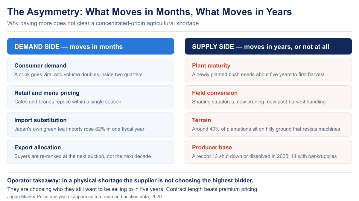 Comparison chart contrasting demand-side factors that move in months — consumer demand, retail pricing, import substitution and export allocation — against supply-side constraints that move in years: time to first harvest, field conversion, hillside terrain and a shrinking producer base.
